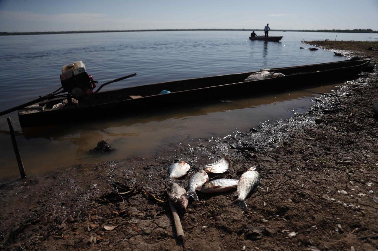 Subsistir (y dejar vivir) en los humedales de la Amazonía peruana 2 amazonia2