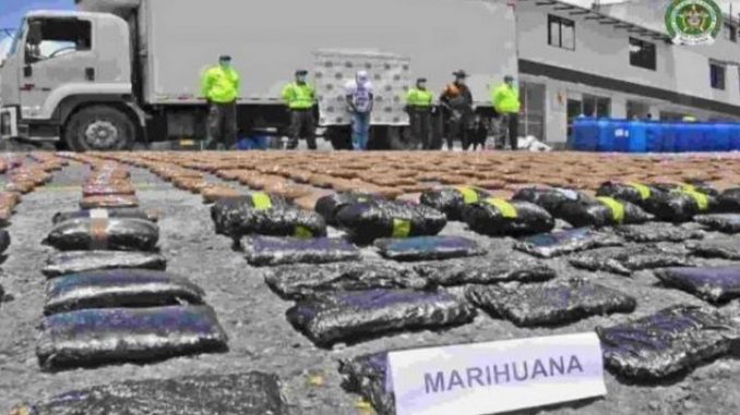 Capturado sujeto por La Pintada que transportaba marihuana Capturado sujeto por La Pintada que transportaba marihuana