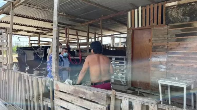 Encontraron a niños viviendo en pesebreras de Cartagena Encontraron a niños viviendo en pesebreras de Cartagena