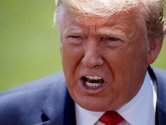 Donald Trump será comentarista del combate entre Holyfield y Belfort 1 donald trump