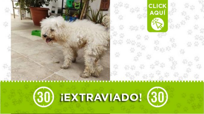 "Crespo" se extravió en Rionegro "Crespo" se extravió en Rionegro