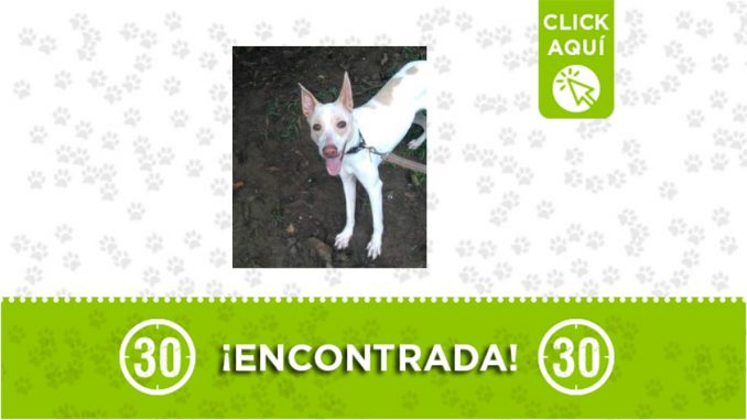 Buenos Aires-encontrada Buenos Aires-encontrada