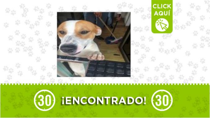 Laureles-encontrado Laureles-encontrado