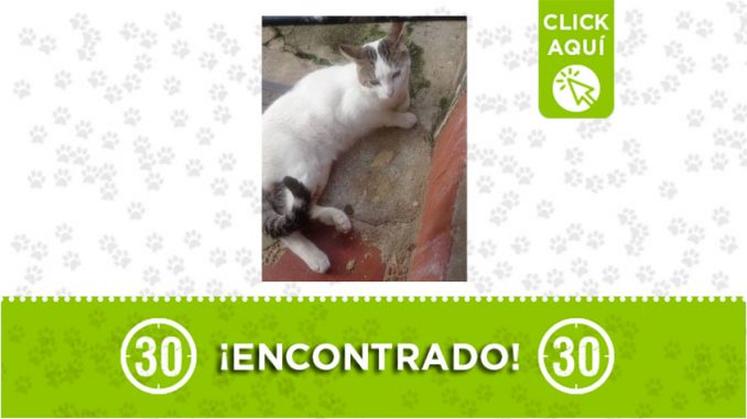 Campo Valdés -encontrado Campo Valdés -encontrado