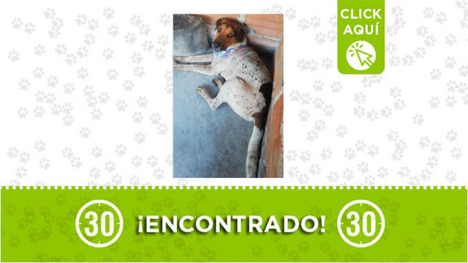 Guayabal-encontrado Guayabal-encontrado
