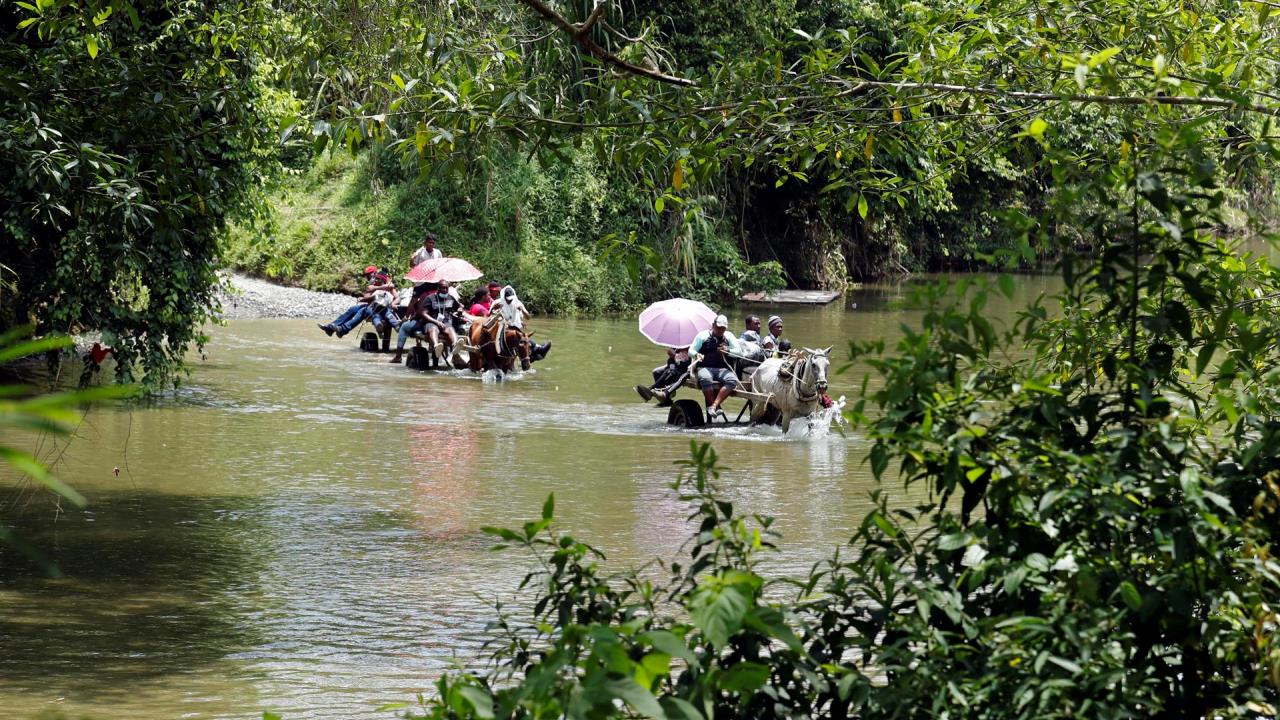 La migración haitiana, ¿Una "bendición" para la frontera de Colombia? 3 migración haitiana