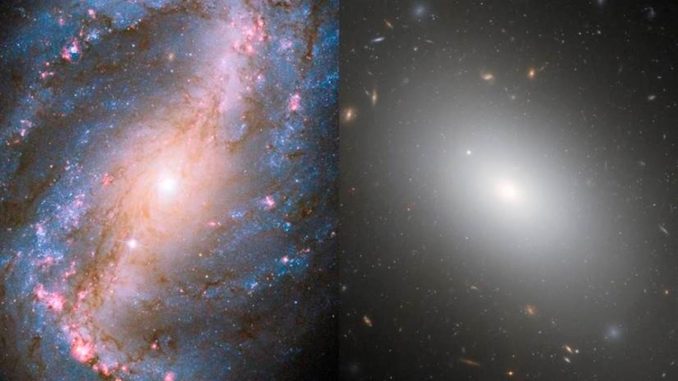 galaxia galaxia