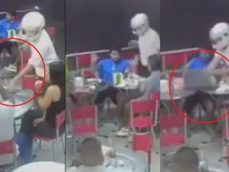 Video: ¡Qué rabia, hasta escogió lo que se iba a llevar! Aparece otra 'rata' en local de El Poblado 1 Aparece otra 'rata' en local de El Poblado