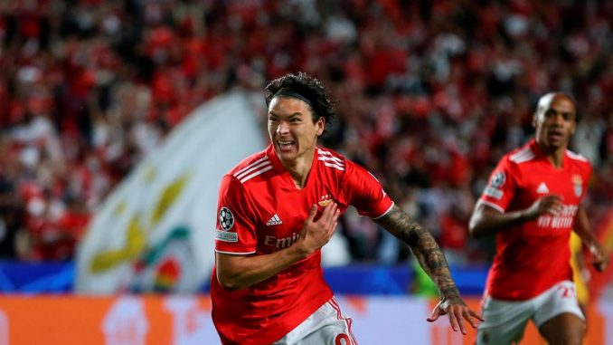 liga de campeones benfica liga de campeones benfica champions