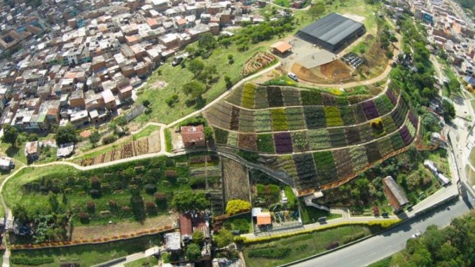 Procuraduría suspendió el desalojo a las personas que viven en el Morro de Moravia Procuraduría suspendió el desalojo a las personas que viven en el Morro de Moravia