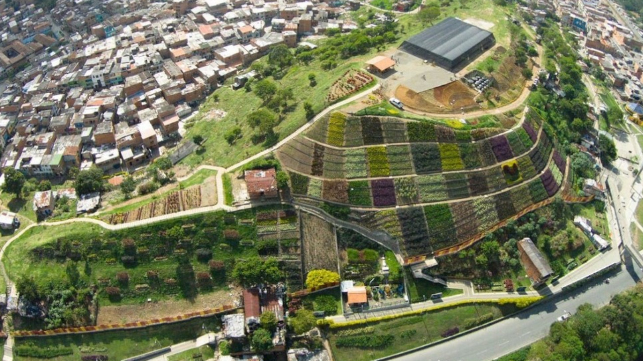Procuraduría suspendió el desalojo a las personas que viven en el Morro de Moravia