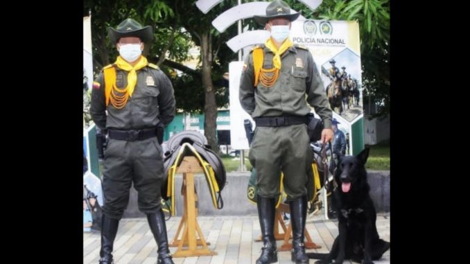 Un perrito, dos policías y 2 enfermeros fueron baleados en Córdoba Un perrito, dos policías y 2 enfermeros fueron baleados en Córdoba