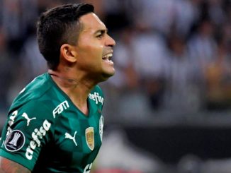 El campeón Palmeiras avanza a su segunda final seguida en la Libertadores 1 palmeiras mineiro