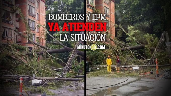 Se cayeron varias árboles y postes de luz en Envigado Se cayeron varias árboles y postes de luz en Envigado