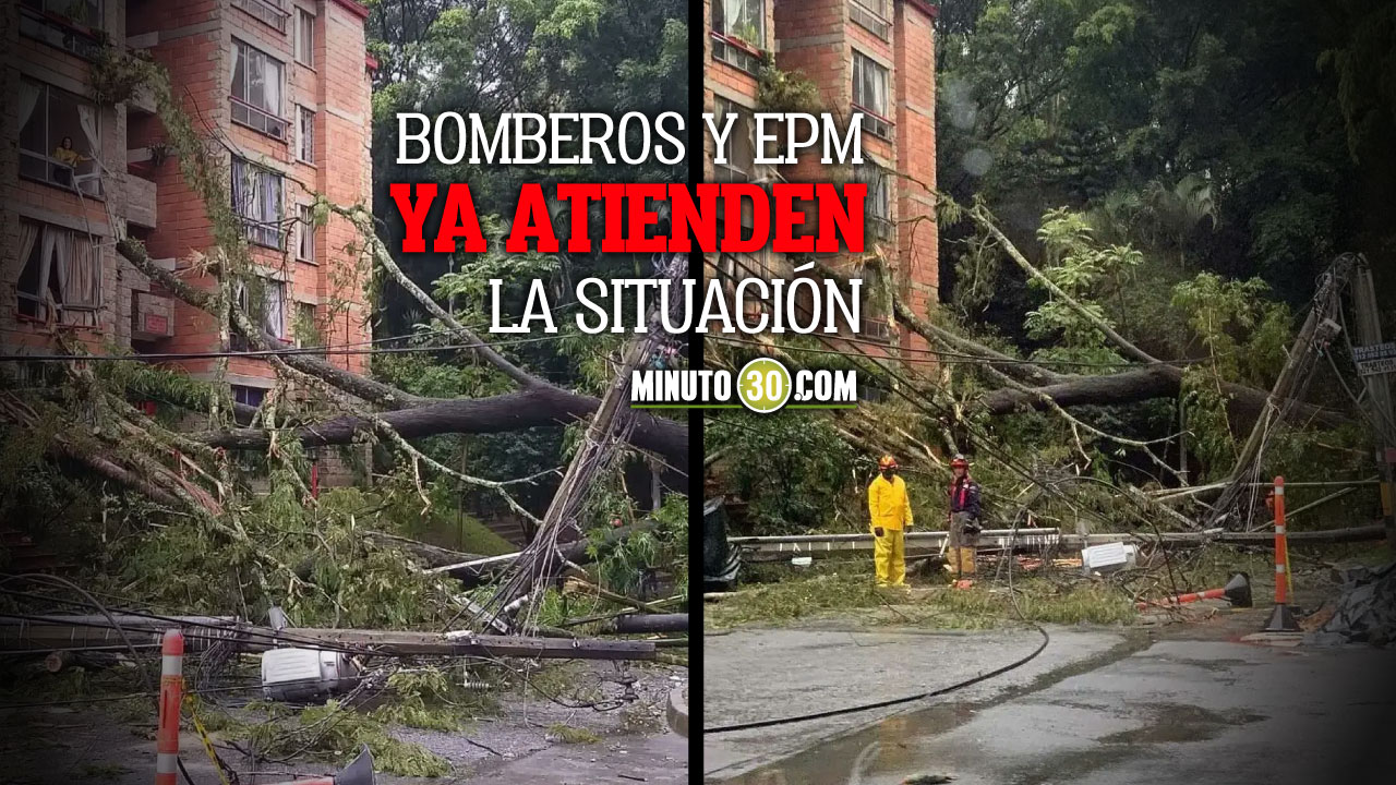Se cayeron varias árboles y postes de luz en Envigado