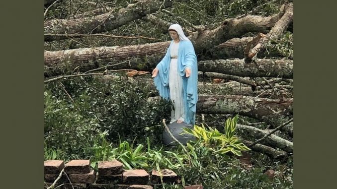 virgen maria