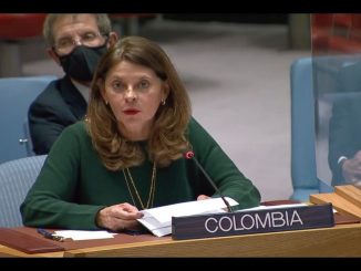Colombia pidió la prórroga del mandato de la Misión de la ONU 1 Colombia