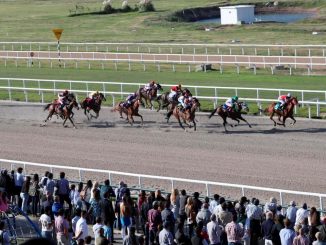 Caballos de cinco países lucharán por el GP Latinoamericano en Uruguay 1 Uruguay