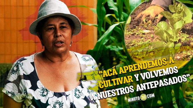Qué-ejemplo-En-El-Picacho-un-grupo-de-mujeres-tienen-sus-propias-huertas-nota Video: ¡Qué ejemplo! En El Pichacho un grupo de mujeres tienen su propia huerta