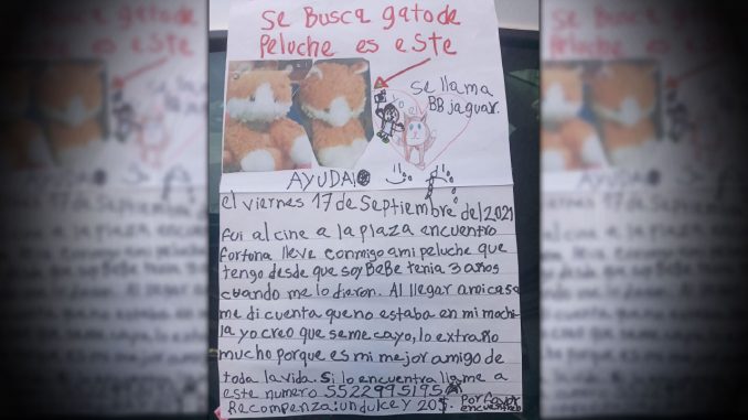 Qur-ternurita-A-una-nina-se-le-perdio-su-osito-de-peluche-y-ofrecio-un-dulce-en-recompensa-a-quien-ayude-a-encontrarlo ¡Qué ternurita! A una niña se le perdió su osito de peluche y ofreció un dulce en recompensa a quien ayude a encontrarlo