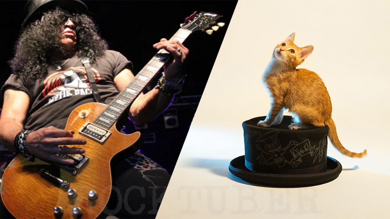 Slash donó uno de sus sombreros para ayudar a una fundación que rescata gatos