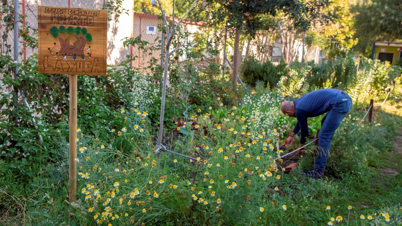 agricultura sostenible