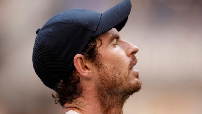 andy murray andy murray