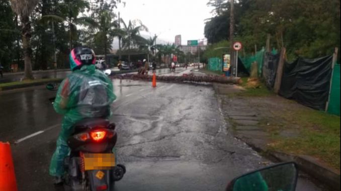 Vías de Antioquia Vías de Antioquia