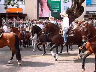 Proponen instituir las cabalgatas como una actividad económica y recreativa en el país 1 cabalgatas