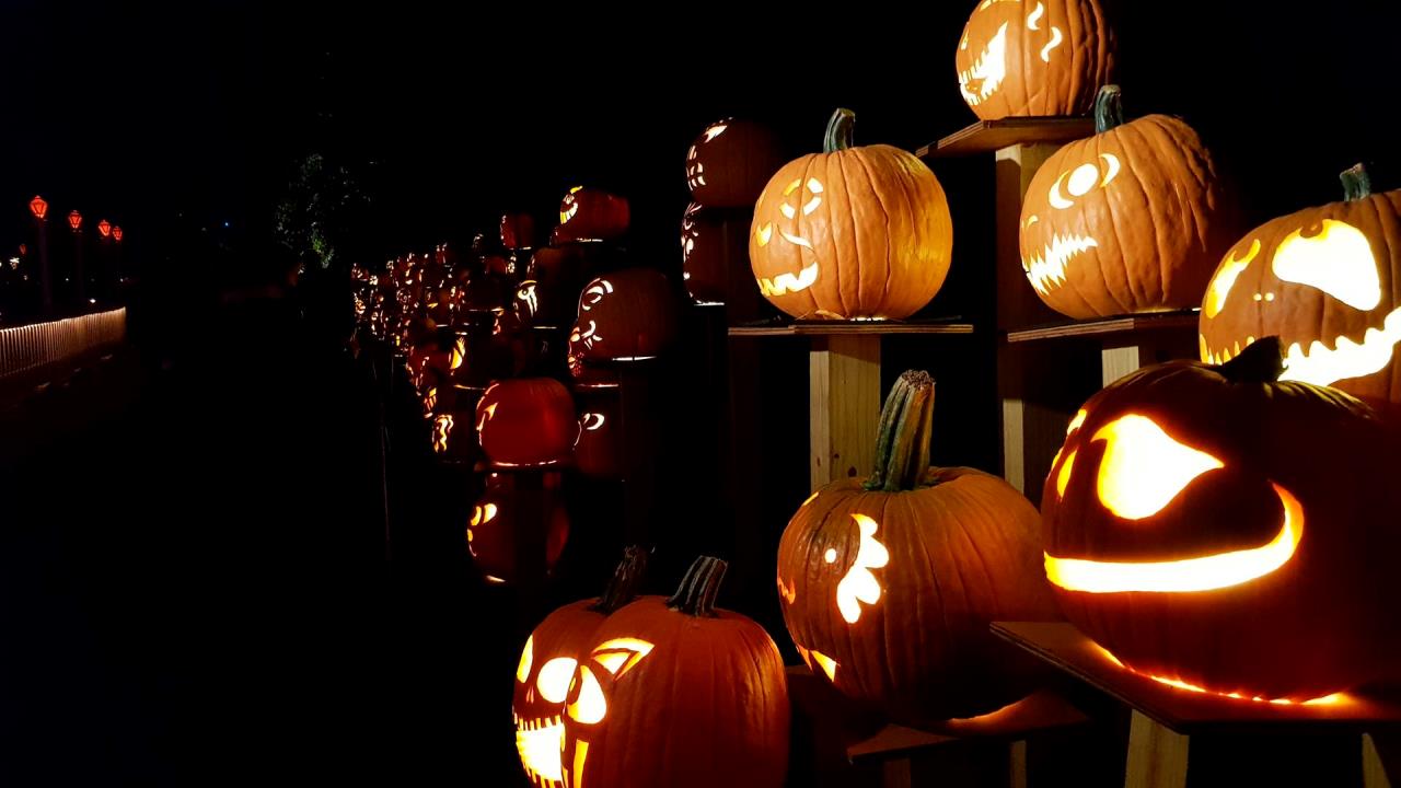 Halloween, el reinado de la calabaza 2 Halloween