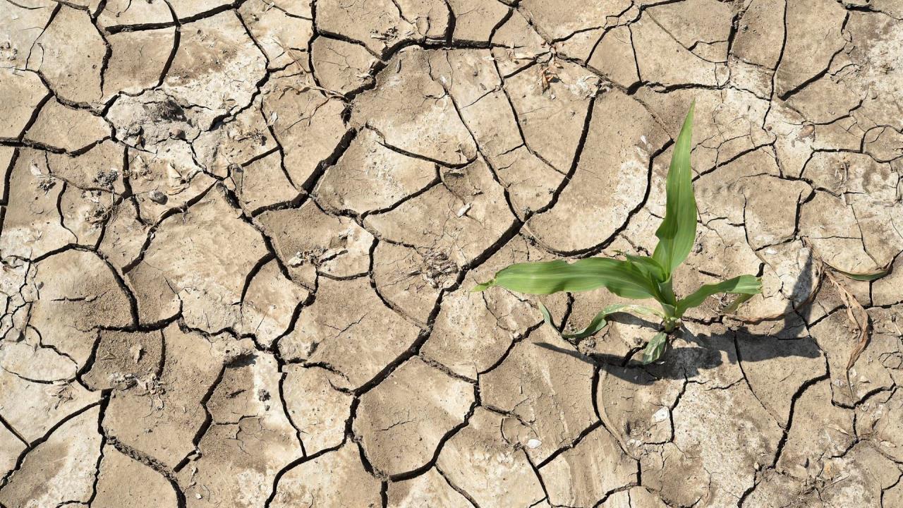 No hay debate. El cambio climático es resultado de la acción humana 1 cambio climatico