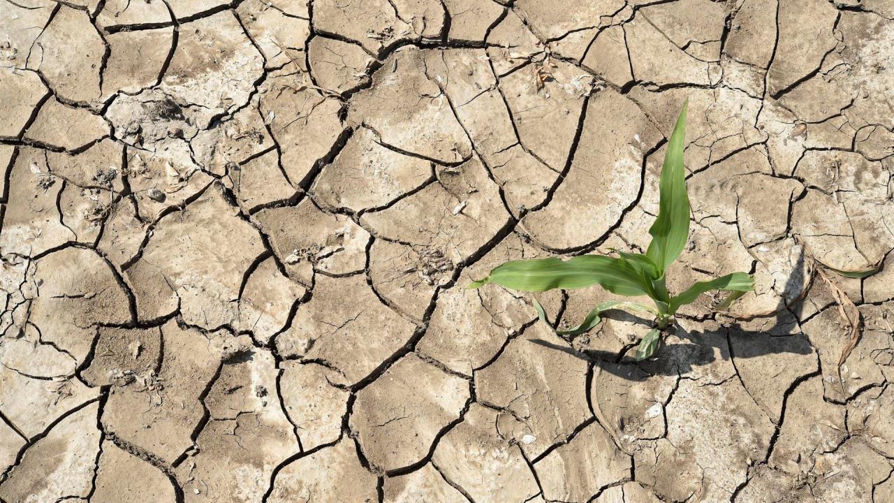 No hay debate. El cambio climático es resultado de la acción humana