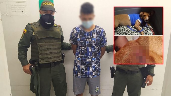 Lo cogieron en Itagüí por presunto maltrato animal Lo cogieron en Itagüí por presunto maltrato animal