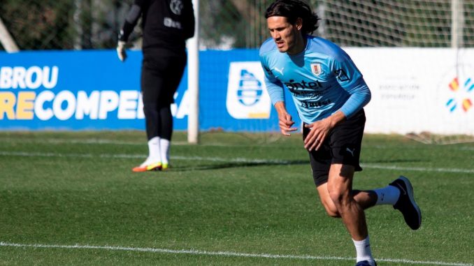 cavani brasil cavani brasil