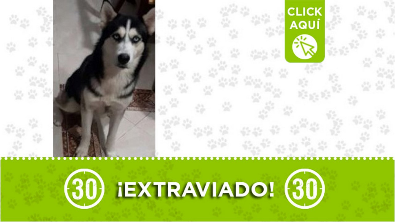 "Ciro" se Perdió en Robledo ¡Comparte!