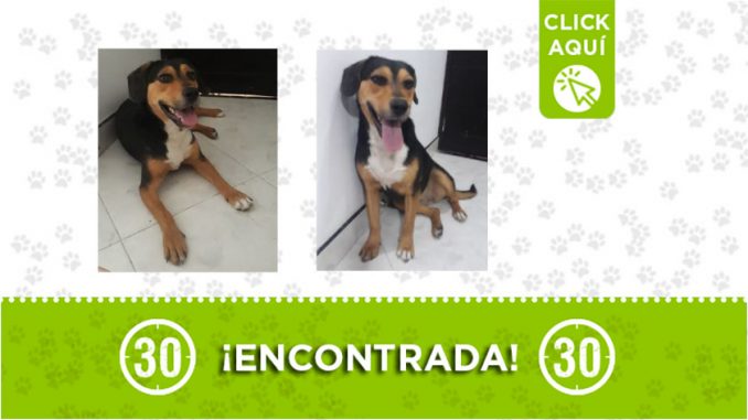 Robledo-encontrada Robledo-encontrada