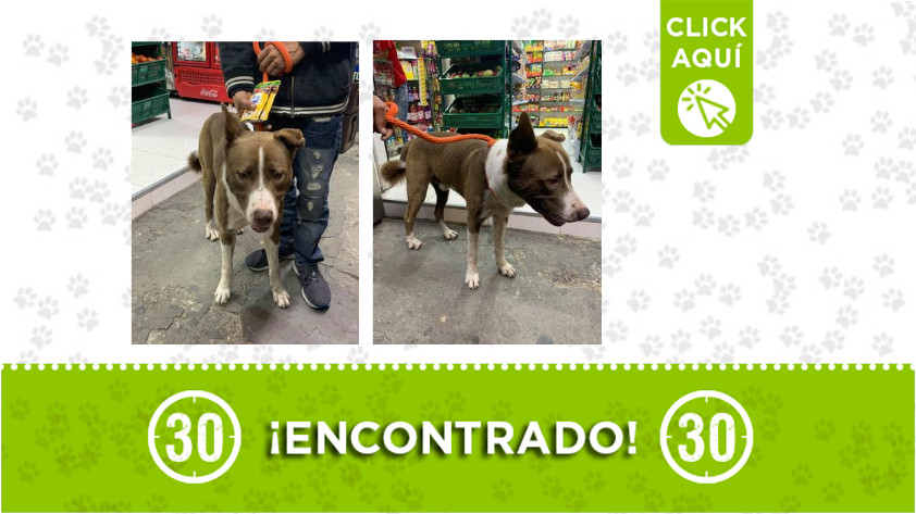 El Velódromo-encontrado