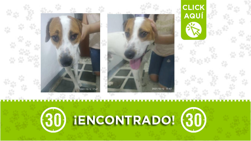 Campo Valdés- encontrado