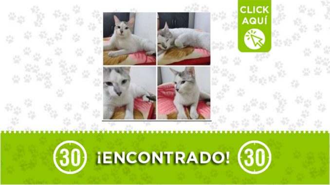 Campo Valdés-encontrado Campo Valdés-encontrado