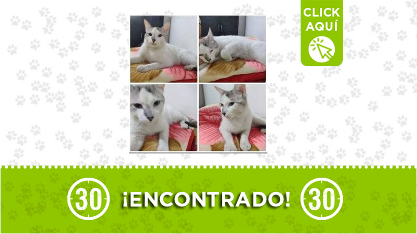 Campo Valdés-encontrado