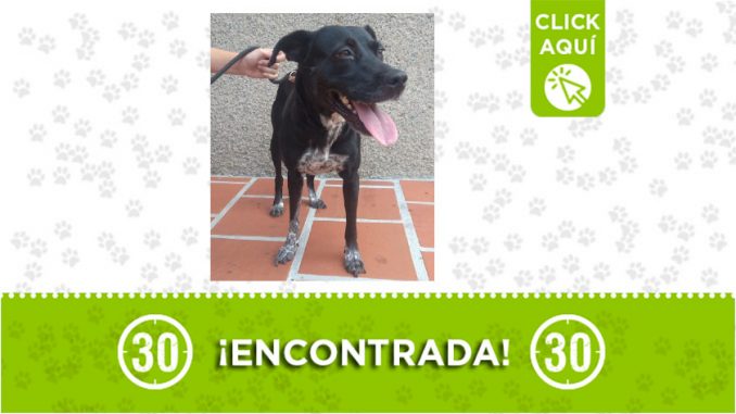Loma de los Bernal-encontrada Loma de los Bernal-encontrada