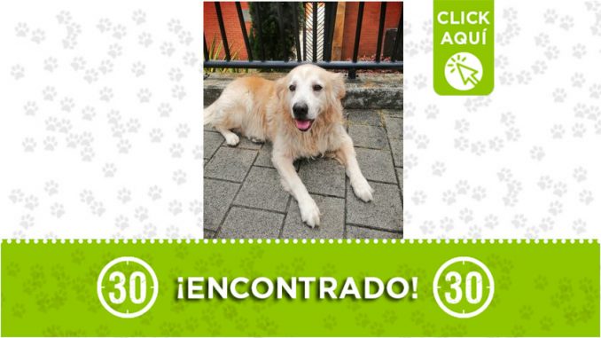 Pedregal- encontrado Pedregal- encontrado