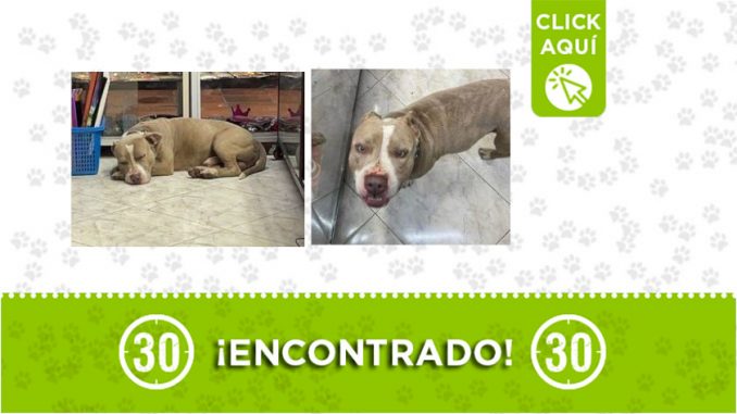 Manrique-encontrado Manrique-encontrado