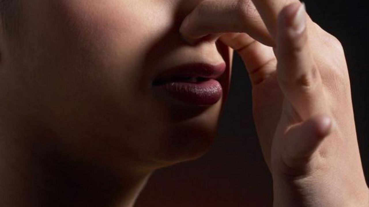 ‘Qué incómodo’: Una pareja viajó al lado de un perro con flatulencias y aerolínea le tuvo que dar plata