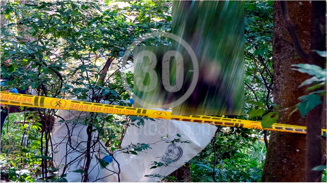 EN FOTOS: ¡Qué impresión! Hallan el cuerpo de un hombre colgando de un pie en un árbol en Bello 1 hombre2 2
