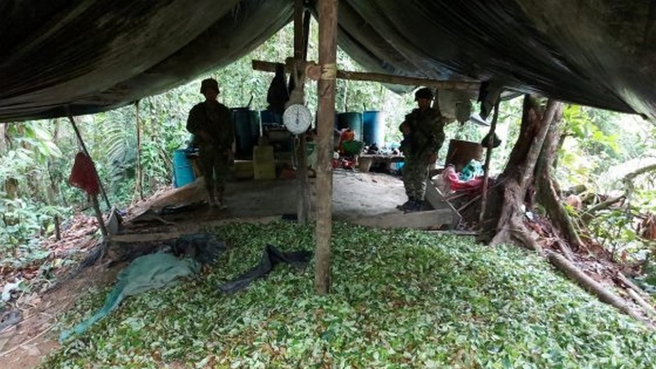 Destruyeron laboratorio para preprocesamiento de coca