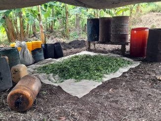 Destruyeron laboratorio de pasta base de coca que pertenecería a la Compañía Tito Marín del ELN 1 Destruyeron laboratorio de coca que pertenecería al ELN