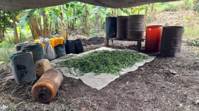 Destruyeron laboratorio de coca que pertenecería al ELN Destruyeron laboratorio de coca que pertenecería al ELN