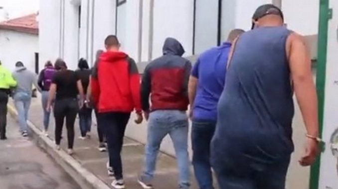 Cayeron 'Los Machados', señalados de producir y vender coca Cayeron 'Los Machados', señalados de producir y vender coca
