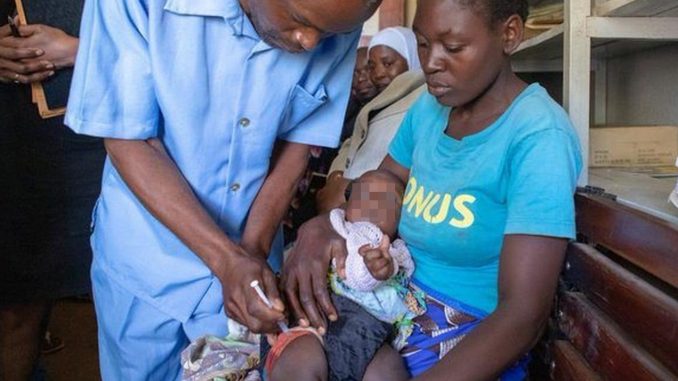 malaria oms
